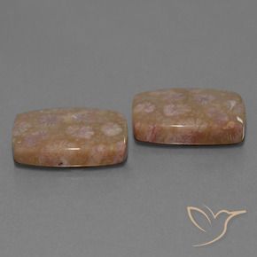 27.24 ctw Multicolor Fossil Coral Stones, Natural Fossil Coral in Cushion Cabochon Shape for Sale