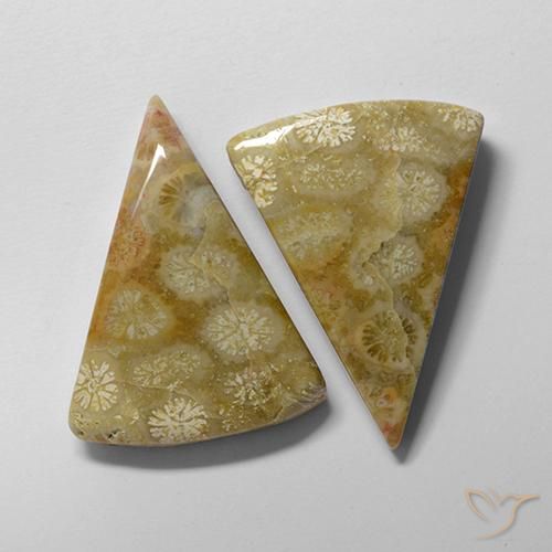 28.61 ct Trillion Fossil Coral, 24.3 x 17.9 mm From Indonesia, Photo A