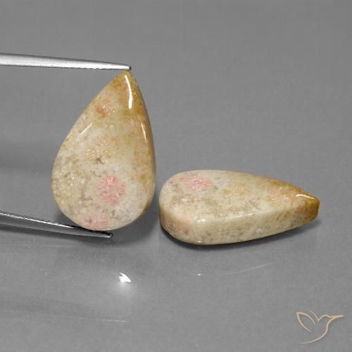 28.35 ct Pear Fossil Coral, 22.7 x 14.3 mm From Indonesia, Photo A