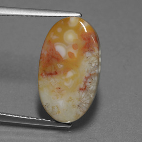 8.82 ct Multicolor Fossil Coral Gemstone, Fossil Coral Gem in Oval Cabochon Shape for Sale.