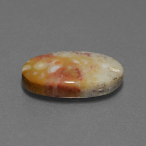8.82 ct Multicolor Fossil Coral Stone, Natural Fossil Coral in Oval Cabochon Shape for Sale