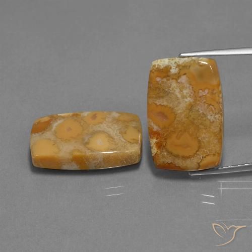 29.77 ct Cushion Fossil Coral, 20.8 x 13.7 mm From Indonesia, Photo A