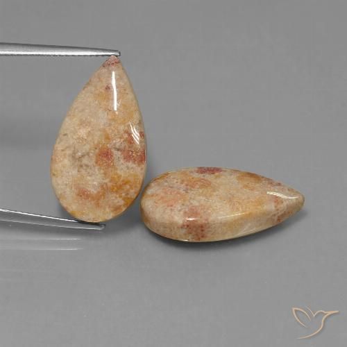 22.64 ct Pear Fossil Coral, 22.4 x 12.7 mm From Indonesia, Photo A