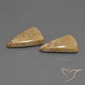 16.43 ctw Multicolor Fossil Coral Stones, Natural Fossil Coral in Trillion Cabochon Shape for Sale