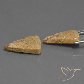 Fossil Coral Gemstones in 21.4 x 13 mm Size for Sale, Fossil Coral Stones in Multicolor Color
