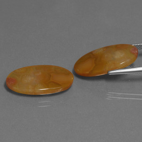 Fossil Coral Gemstone in 20.6 x 11.8 mm Size for Sale, Fossil Coral Stone in Multicolor Color