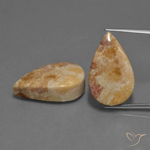 33.44 ct Pear Fossil Coral, 22.4 x 13.8 mm From Indonesia, Photo A