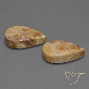 33.44 ctw Multicolor Fossil Coral Stones, Natural Fossil Coral in Pear Cabochon Shape for Sale
