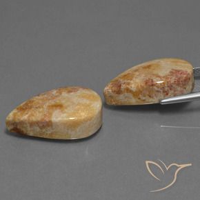 Fossil Coral Gemstones in 22.4 x 13.8 mm Size for Sale, Fossil Coral Stones in Multicolor Color