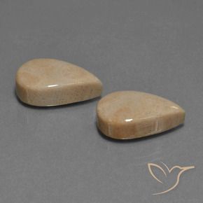 17.01 ctw Multicolor Fossil Coral Stones, Natural Fossil Coral in Pear Cabochon Shape for Sale