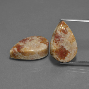 24.91 ct Multicolor Fossil Coral Gemstone, Fossil Coral Gem in Pear Cabochon Shape for Sale.