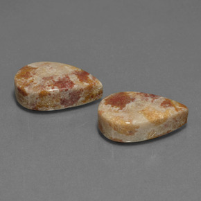 24.91 ct Multicolor Fossil Coral Stone, Natural Fossil Coral in Pear Cabochon Shape for Sale