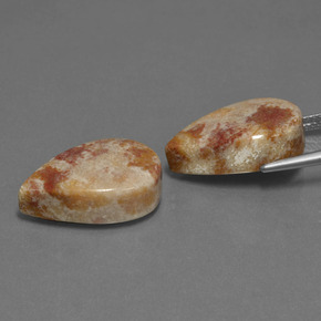 Fossil Coral Gemstone in 19.6 x 12.1 mm Size for Sale, Fossil Coral Stone in Multicolor Color