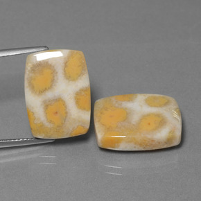 23.90 ct Multicolor Fossil Coral Gemstone, Fossil Coral Gem in Cushion Cabochon Shape for Sale.