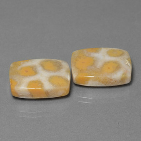 23.90 ct Multicolor Fossil Coral Stone, Natural Fossil Coral in Cushion Cabochon Shape for Sale