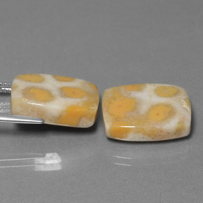 Fossil Coral Gemstone in 17.2 x 12.8 mm Size for Sale, Fossil Coral Stone in Multicolor Color