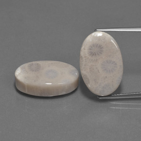 21.54 ct Multicolor Fossil Coral Gemstone, Fossil Coral Gem in Oval Cabochon Shape for Sale.