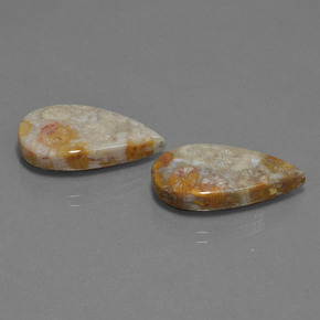 18.07 ctw Multicolor Fossil Coral Stones, Natural Fossil Coral in Pear Cabochon Shape for Sale