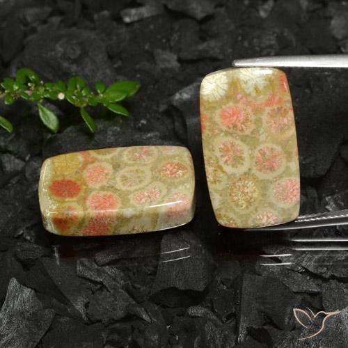 35.26ctw Natural Multicolor Fossil Coral, Cushion, Opaque