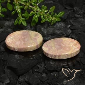 22.59 ctw Multicolor Fossil Coral Stones, Natural Fossil Coral in Oval Cabochon Shape for Sale