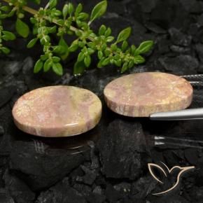 Fossil Coral Gemstones in 20.4 x 12.6 mm Size for Sale, Fossil Coral Stones in Multicolor Color