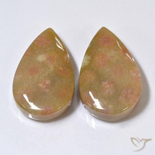 26.41ctw Natural Multicolor Fossil Coral, Pear Shape, Opaque