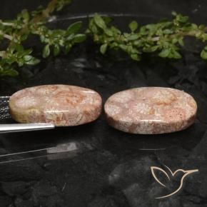 Fossil Coral Gemstones in 19.7 x 11.7 mm Size for Sale, Fossil Coral Stones in Multicolor Color
