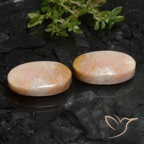 22.59 ctw Multicolor Fossil Coral Stones, Natural Fossil Coral in Oval Cabochon Shape for Sale