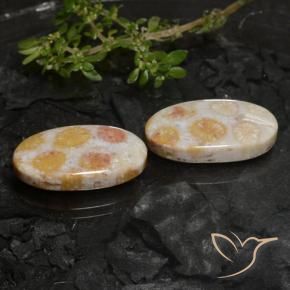22.45 ctw Multicolor Fossil Coral Stones, Natural Fossil Coral in Oval Cabochon Shape for Sale