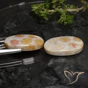 Fossil Coral Gemstones in 21.4 x 12.1 mm Size for Sale, Fossil Coral Stones in Multicolor Color