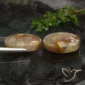 Fossil Coral Gemstones in 21.5 x 14.2 mm Size for Sale, Fossil Coral Stones in Multicolor Color