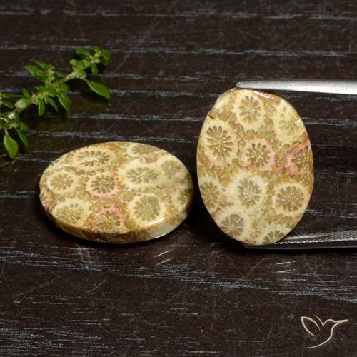 قطعتان من مرجان حجرى بيضوي المتطابق بحجم ٢١.٩ x ١٥.٨ مم، الوزن الإجمالي ٢٧.١٢ قيراط / المتوسط. ١٣.٥٦ قيراط لكل منها، اللون: متعدد الألوان ، النقاء: غير شفاف ، حجر كريم طبيعي، صلابة موس ٦.٥ - ٧ مناسب للمجوهرات التي ترتدى يوميًا, Photo A