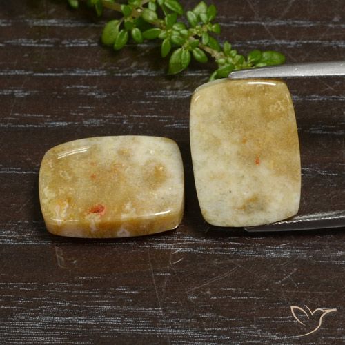 21.65 ctw Multicolor Fossil Coral Gemstones, Fossil Coral Gems in Cushion Cabochon Shape for Sale.