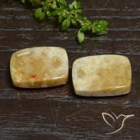 21.65 ctw Multicolor Fossil Coral Stones, Natural Fossil Coral in Cushion Cabochon Shape for Sale