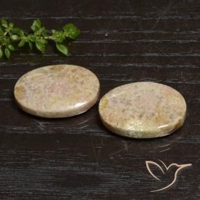29.83 ctw Multicolor Fossil Coral Stones, Natural Fossil Coral in Oval Cabochon Shape for Sale