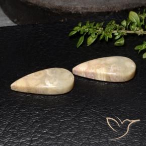 19.11 ctw Multicolor Fossil Coral Stones, Natural Fossil Coral in Pear Cabochon Shape for Sale