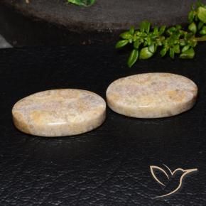 34.13 ctw Multicolor Fossil Coral Stones, Natural Fossil Coral in Oval Cabochon Shape for Sale