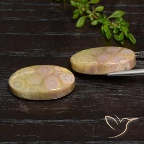 Fossil Coral Gemstones in 21 x 11.5 mm Size for Sale, Fossil Coral Stones in Multicolor Color