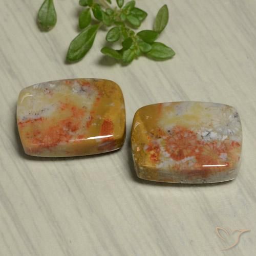22.48 ctw Multicolor Fossil Coral Stones, Natural Fossil Coral in Cushion Cabochon Shape for Sale