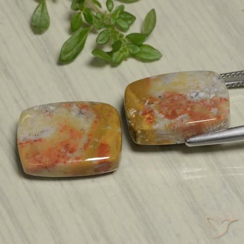 Fossil Coral Gemstones in 16 x 12 mm (calibrated) Size for Sale, Fossil Coral Stones in Multicolor Color