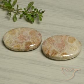 29.97 ctw Multicolor Fossil Coral Stones, Natural Fossil Coral in Oval Cabochon Shape for Sale