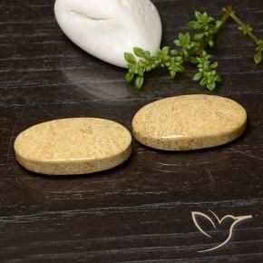 29.06 ctw Multicolor Fossil Coral Stones, Natural Fossil Coral in Oval Cabochon Shape for Sale