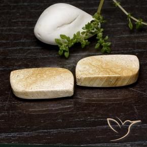 35.20 ctw Multicolor Fossil Coral Stones, Natural Fossil Coral in Fancy Cabochon Shape for Sale