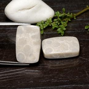 25.59 ctw Multicolor Fossil Coral Gemstones, Fossil Coral Gems in Cushion Cabochon Shape for Sale.