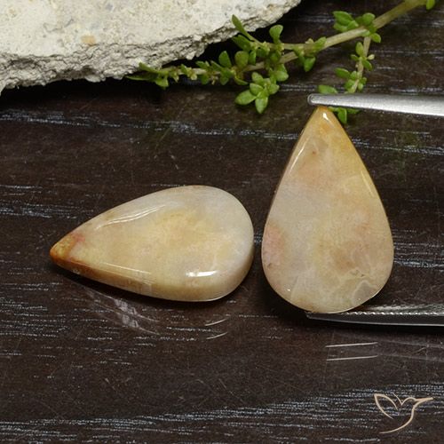 16.56ctw Natural Multicolor Fossil Coral, Pear Shape, Opaque