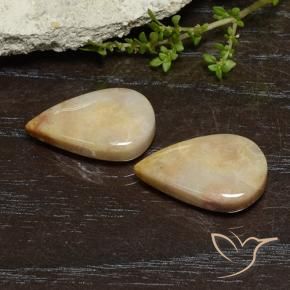 16.56 ctw Multicolor Fossil Coral Stones, Natural Fossil Coral in Pear Cabochon Shape for Sale