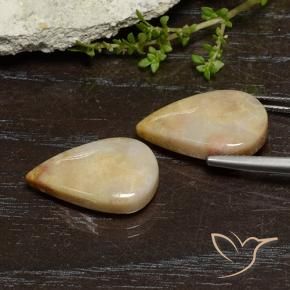 Fossil Coral Gemstones in 19.3 x 12.1 mm Size for Sale, Fossil Coral Stones in Multicolor Color