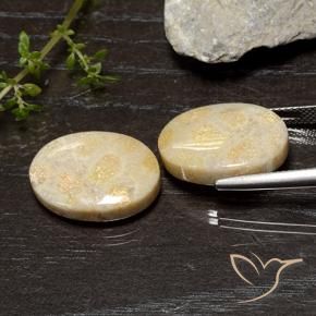 Fossil Coral Gemstones in 18 x 13 mm (calibrated) Size for Sale, Fossil Coral Stones in Multicolor Color