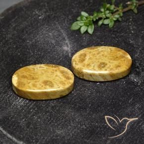 19.91 ctw Multicolor Fossil Coral Stones, Natural Fossil Coral in Oval Cabochon Shape for Sale