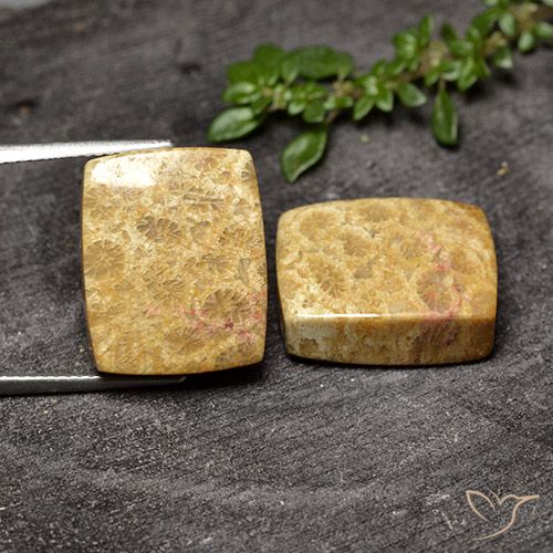 قطعتان من مرجان حجرى وسادة المتطابق بحجم ١٦.٧ x ١٣.٤ مم، الوزن الإجمالي ٢٩.٦٣ قيراط / المتوسط. ١٤.٨٢ قيراط لكل منها، اللون: متعدد الألوان ، النقاء: غير شفاف ، حجر كريم طبيعي، صلابة موس ٦.٥ - ٧ مناسب للمجوهرات التي ترتدى يوميًا, Photo A